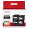 Ankink Compatible Ink Cartridge Replacement for Canon 243 244 243XL 244XL PG-243 CL-244 XL Cartridges (Black and Color 2-Pack) Fit for TR4520 MG2522 TS3322 TR4522 TS3122 MX490 MX492 MG2922 Printer