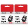 245XL Black Ink Cartridge High Capacity for Canon 245XL Black Ink PG-245 XL Compatible to Canon Pixma MX490 MX492 MG2522 MG3022 MG2520 TS3100 TS3122 TS3300 TS3322 TR4522 Printer (2 Black Pack)