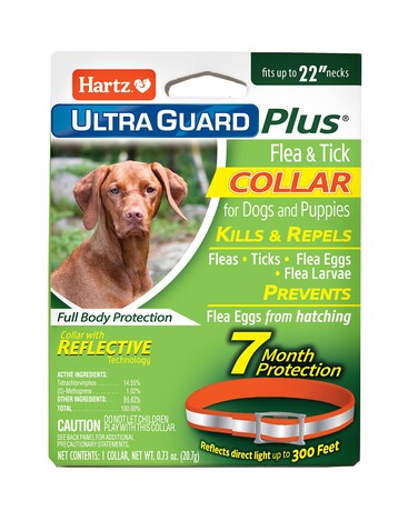 Hartz UltraGuard Plus Flea &amp; Tick Collar for Dogs and Puppies, 7 Month Flea and Tick Prevention and Protection Per Collar, Reflective Orange, up to 22 Inch Neck
