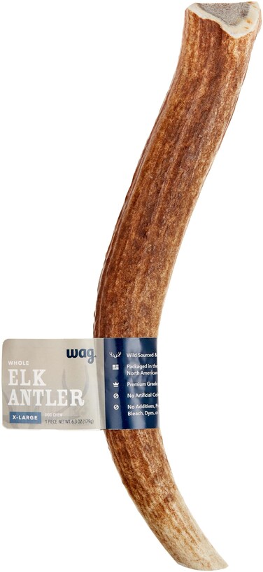 Amazon Brand - Wag Elk Antler - Whole - X-Large 9.5-10.5 inches (Best for Dogs over 45 lbs)