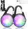 Dog Collar Light, 4 Modes Dog Lights for Night Walking, Rechargeable Pet Collar LED for Nighttime Clip on, IP68 Waterproof Pet Walking Accessories-2 Pack(Black)