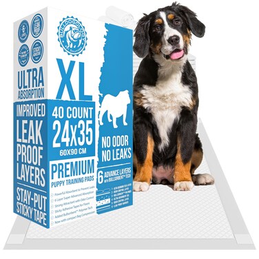 Bulldogology Pee Pads for Dogs XL with Adhesive Sticky Tape (24x35) Dog Puppy Pads Extra Large, Disposable Puppy Pads, Dog Training Wee Pads 6 Layers with Bullsorbent Polymer Tech (40-Count, White)