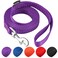 AMAGOOD 6 FT Puppy/Dog Leashes, Strong Traditional Style Leash with Easy to Use Collar Hook,Dog Lead Great for Small and Medium and Large Dog (5/8in x 6 ft, Purple)