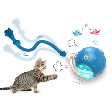 Giociv Interactive Cat Toys Ball for Indoor Cats Fast Rolling on Carpet, Chirping &amp; Motion Activate Cat Toys (Blue)