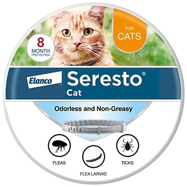 Seresto Cat Vet-Recommended Flea &amp; Tick Treatment &amp; Prevention Collar for Cats   8 Months Protection