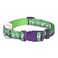 Marvel Comics The Hulk Dog Collar, Large Green &amp; Purple   Officially Licensed Marvel The Incredible Hulk Dog Collar   Large Dog Collar for Large Dogs with D-Ring, Cute Dog Apparel &amp; Accessories