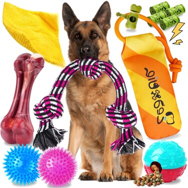 Zeaxuie 12 Pack Heavy Duty Various Dog Chew Toys Pack for Aggressive Chewers - Includes Large Rope Toys, Squeaky Toys &amp; Indestructible Chew Bone for Medium, Large &amp; X-Large Breeds Dogs