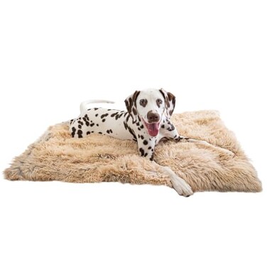 Best Friends by Sheri Calming Shag Dog Blanket, Taupe, 30" x 40