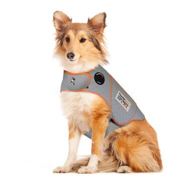 ThunderShirt for Dogs, Large, Platinum Sport - Dog Anxiety Relief Calming Vest