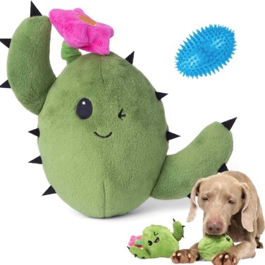 Barkbox 2 in 1 Interactive Plush Dog Toy - Rip and Reveal Toy for Dogs and Puppies - Stimulating Squeaky Pet Toys   Consuela Cactus (Large)