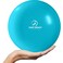 ProBody Pilates Ball 9 Inch - Small Exercise Ball for Between Knees or Barre, Core, Ab Workouts, Yoga, &amp; Physical Therapy, Stability Ball (Sky)