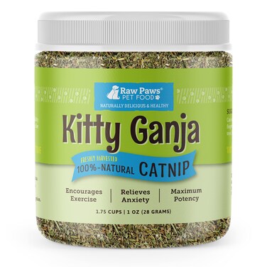 Raw Paws Fresh Catnip for Cats, 1-oz (2 Cups) - Use for Refillable Catnip Toys for Cats - Strong Catnip Treats for Cats - Natural Catnip for Dogs - Cat Nip for Cats - Dog Catnip - Dried Catnip