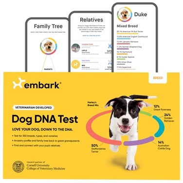 Embark Breed Identification Kit - Most Accurate Dog DNA Testing Kit - 99% Breed Ancestry Accuracy for Mixed Breed Dogs - Plus Relative Finder &amp; Family Tree