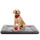 Dog Beds Crate Pad for Medium/Large Dogs Fit Metal,Ultra Soft, Washable &amp; Anti-Slip Kennel Pad for Dogs Cozy Sleeping Mat,Gray 36inch