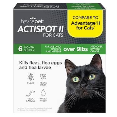 TevraPet Actispot II Flea Treatment for Large Cats 9+ lbs   6 Doses   Powerful Prevention and Control