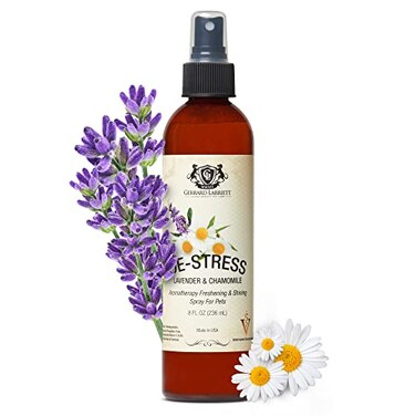 Gerrard Larriett Aromatherapy Pet Care: Aromatherapy Freshening &amp; Shining Spray For Pets - Chamomile &amp; Lavender Dog Spray Scent - Pet and Puppy Calming Products - Dog Calming Spray Comfort - 8 FL OZ