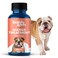 Mange Treatment for Dogs, Natural Dog Itching Skin Relief for Demodectic &amp; Puppy Mange, Mites, Canine Scabies, Helps Dogs Skin Irritation, Hot Spots, Hair Loss, and Canine Dandruff, 400 Odorless Pills