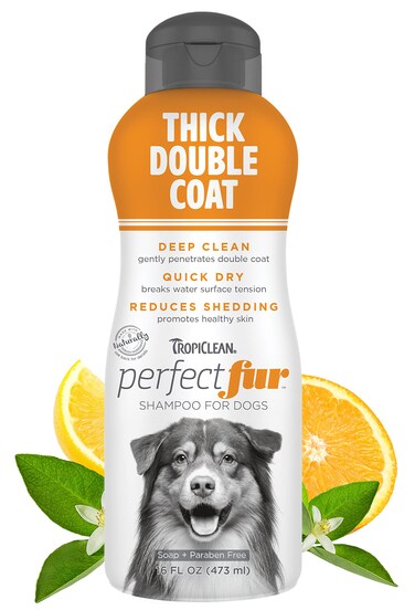 TropiClean Perfect Fur Dog Shampoo for Shedding Control &amp; Deep Conditioning for Breeds with Thick Double Coats   16 oz