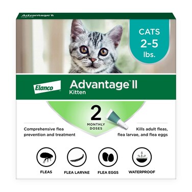 Advantage II Kitten Vet-Recommended Flea Treatment &amp; Prevention   Cats 2-5 lbs.   2-Month Supply
