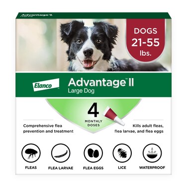 Advantage II Large Dog Vet-Recommended Flea Treatment &amp; Prevention   Dogs 21-55 lbs.   4-Month Supply