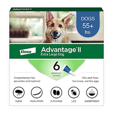 Advantage II XL Dog Vet-Recommended Flea Treatment &amp; Prevention   Dogs Over 55 lbs.   6-Month Supply