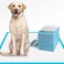 IMMCUTE Dog Pee Pads Extra Large 28"x34", X-Large Training Puppy Pee Pads Super Absorbent &amp; Leak-Proof, XL Disposable Pet Piddle Pad and Potty Pads for Dogs, Puppies, Doggie (XLarge:28"*34"-40 Ct)