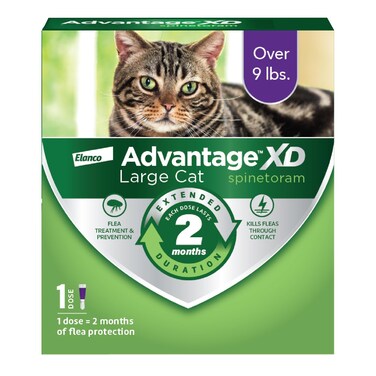 Advantage XD Large Cat Flea Prevention &amp; Treatment For Cats over 9lbs.   1-Topical Dose, 2-Months of Protection Per Dose