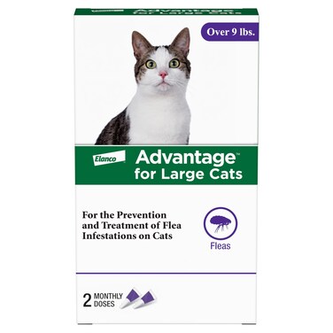 Advantage Topical Cat Flea Treatment and Prevention for Large Cats Over 9 lbs.   Apply Flea Drops Monthly   2 Treatments