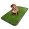 Ottomanson Artificial Grass Puppy Potty Training Pad with Tray, 15" x 30" Reusable Pee Pad for Small Pets and Dogs