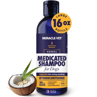 Miracle Vet Medicated Dog Shampoo for Itchy Skin Relief - Yeast Infection Treatment for Dogs &amp; Dog Allergy Relief Hot Spot Treatment - Hydrocortisone Antifungal Shampoo (16 oz)