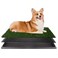 Artificial Grass Puppy Pee Pad for Dogs and Small Pets - 20x25 Reusable 3-Layer Training Potty Pad with Tray - Dog Housebreaking Supplies by PETMAKER