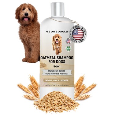 5-in-1 Premium Oatmeal Shampoo for Dogs, Gentle for Itchy &amp; Sensitive Skin, Provides Itch Relief, Hypoallergenic &amp; Soothing for Dry Skin, Moisturizing Anti-Itch, Made in USA, 16 oz [We Love Doodles]