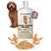 5-in-1 Premium Oatmeal Shampoo for Dogs, Gentle for Itchy &amp; Sensitive Skin, Provides Itch Relief, Hypoallergenic &amp; Soothing for Dry Skin, Moisturizing Anti-Itch, Made in USA, 16 oz [We Love Doodles]