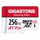 GIGASTONE 256GB Micro SD Card, Gaming Plus, MicroSDXC Memory Card for Nintendo, Wyze, GoPro, Dash Cam, Security Camera, 4K Video Recording, UHS-I A1 U3 V30 C10, up to 100MB/s, with Adapter