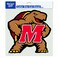 NCAA Maryland Terrapins 8-by-8 Inch Diecut Colored Decal