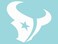 Houston Texans 8x8 White Team Logo Decal