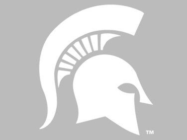 Michigan State 8x8 Die Cut Window Cling