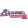 MLB Atlanta Braves Premium Acrylic Carded Magnet