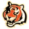 NFL 49777061 Cincinnati Bengals Jewelry Card Collector Pin