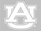 WinCraft Auburn Tigers White Die Cut Decal