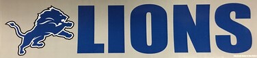 Wincraft NFL Detroit Lions WCR13389213 Bumper Strip, 3" x 12