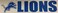 Wincraft NFL Detroit Lions WCR13389213 Bumper Strip, 3" x 12