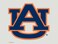 WinCraft NCAA Auburn Tigers Die-Cut Color Decal, 8"x8", Team Color