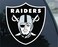 WinCraft NFL Oakland Raiders 16784031 Multi-Use Colored Decal, 5" x 6