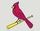 MLB St. Louis Cardinals 79936010 Perfect Cut Color Decal, 8" x 8", Black