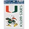 Wincraft NCAA Miami Hurricanes Decal Multi Use Fan 3 Pack, Team Colors, One Size