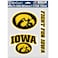 Wincraft NCAA Iowa Hawkeyes Decal Multi Use Fan 3 Pack, Team Colors, One Size