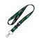 NHL Minnesota Wild Lanyard with Breakaway, 3/4