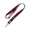 Wincraft NBA Miami Heat Lanyard with Detachable Buckle, 3/4
