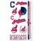 WinCraft MLB Cleveland Indians 14751012 Tattoos